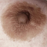 GenderMender Prosthetic Nipples for Men, Women and Non-Binary