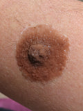 RM 739- GenderMender Nipples--Color 3077+R6- READY TO SHIP Not Customizable
